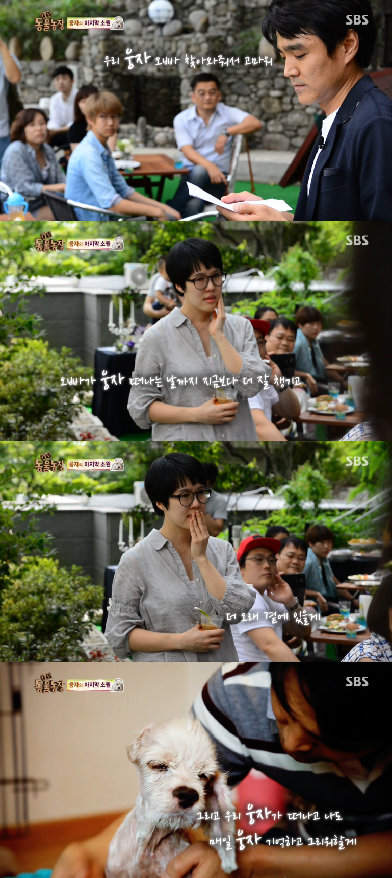 동물농장이-낳은-스타강아지-웅자,-그-후의-이야기-35-이미지