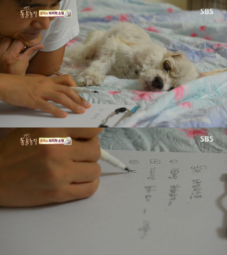 동물농장이-낳은-스타강아지-웅자,-그-후의-이야기-21-이미지