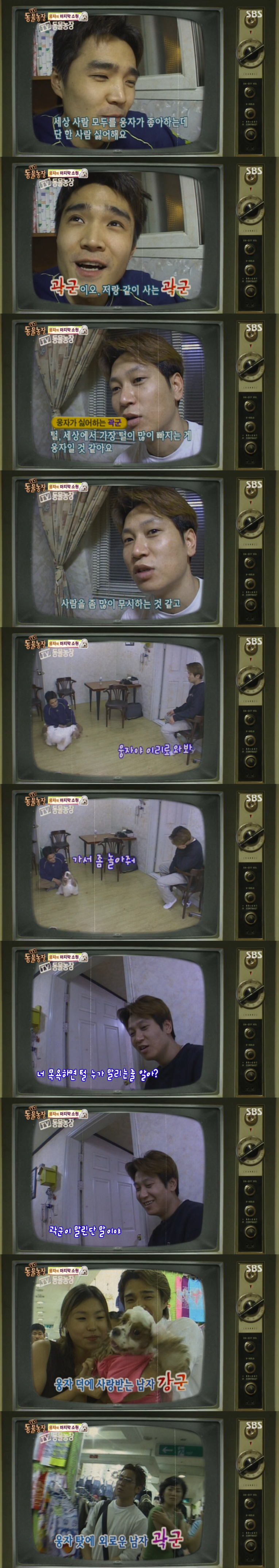 동물농장이-낳은-스타강아지-웅자,-그-후의-이야기-23-이미지