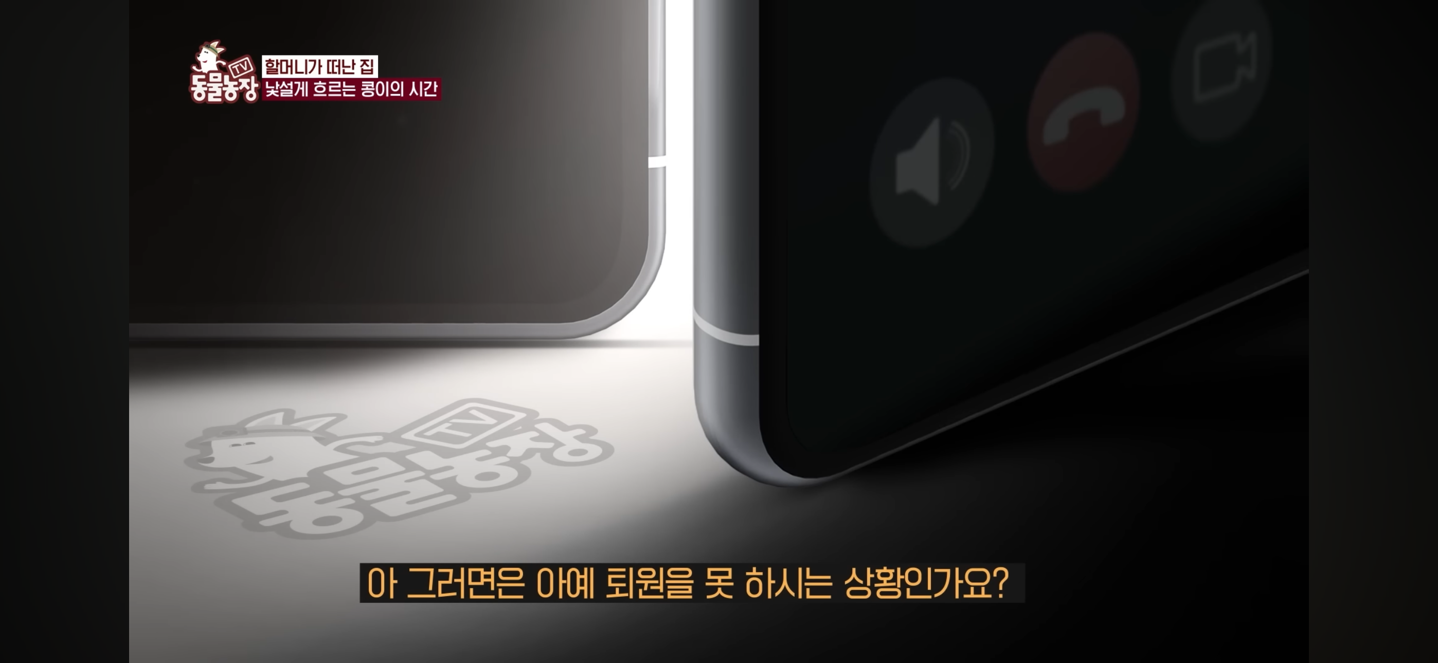 [동물농장]-87세-할머니가-병원-치료를-거부한-이유-64-이미지