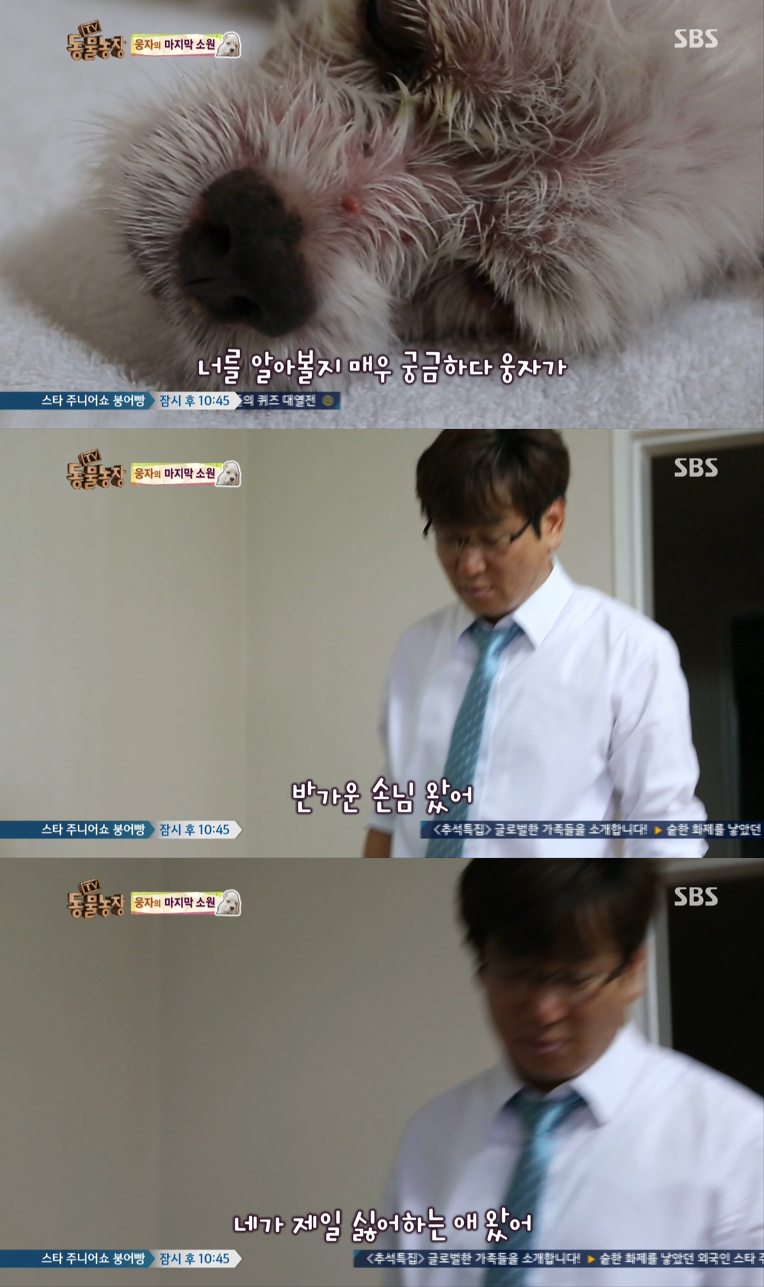 동물농장이-낳은-스타강아지-웅자,-그-후의-이야기-24-이미지