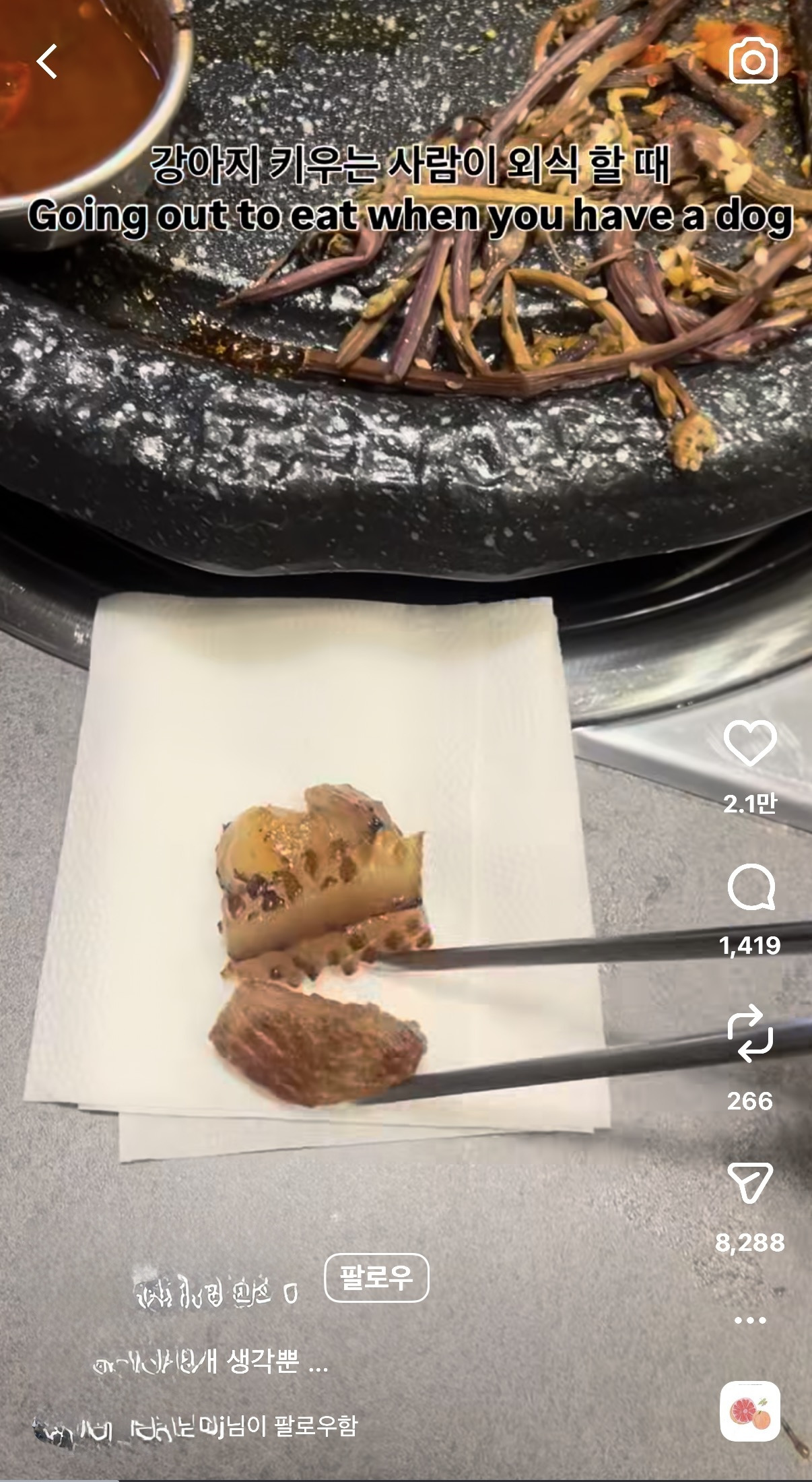 어떤사람이-자기반려견에게-고기를-줬는데-2-이미지