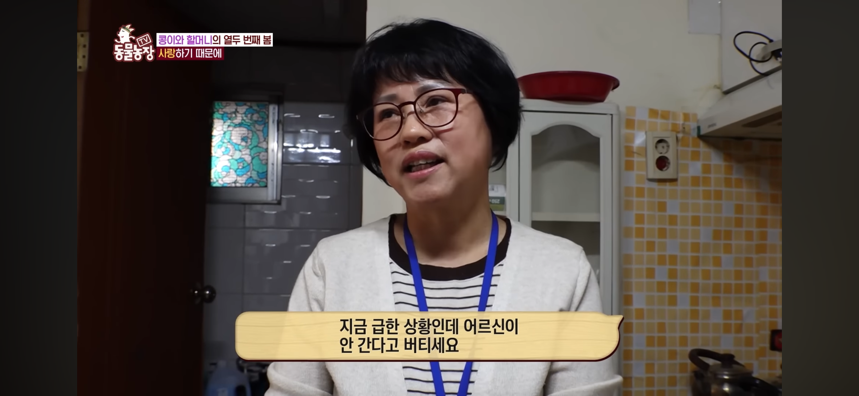 [동물농장]-87세-할머니가-병원-치료를-거부한-이유-46-이미지