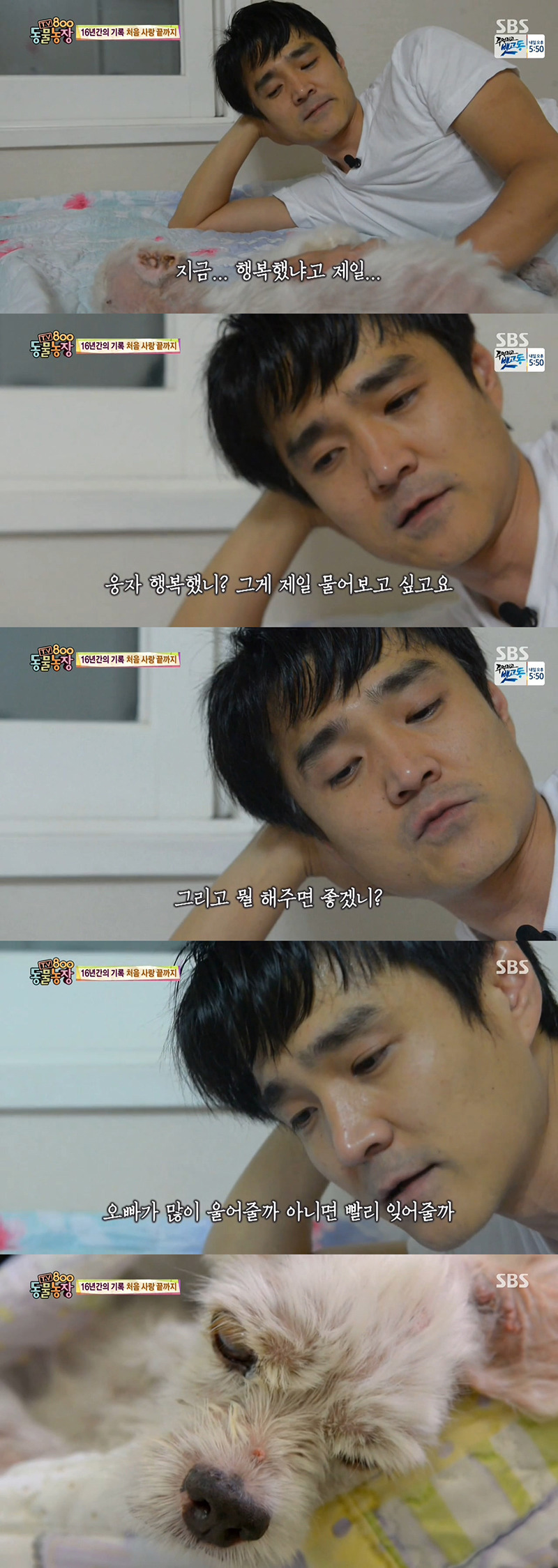 동물농장이-낳은-스타강아지-웅자,-그-후의-이야기-43-이미지