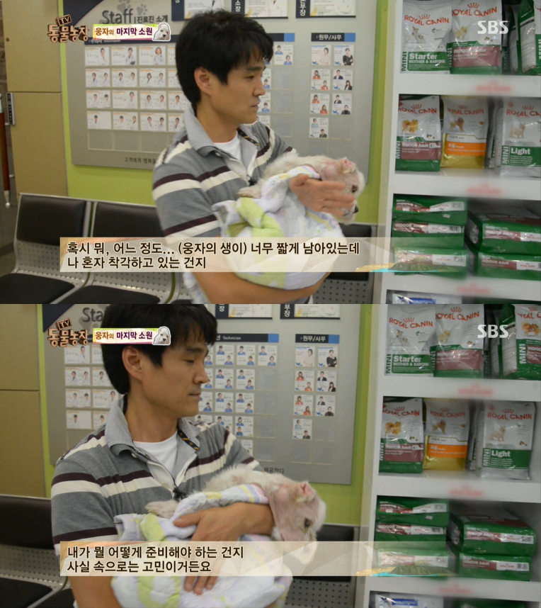 동물농장이-낳은-스타강아지-웅자,-그-후의-이야기-14-이미지