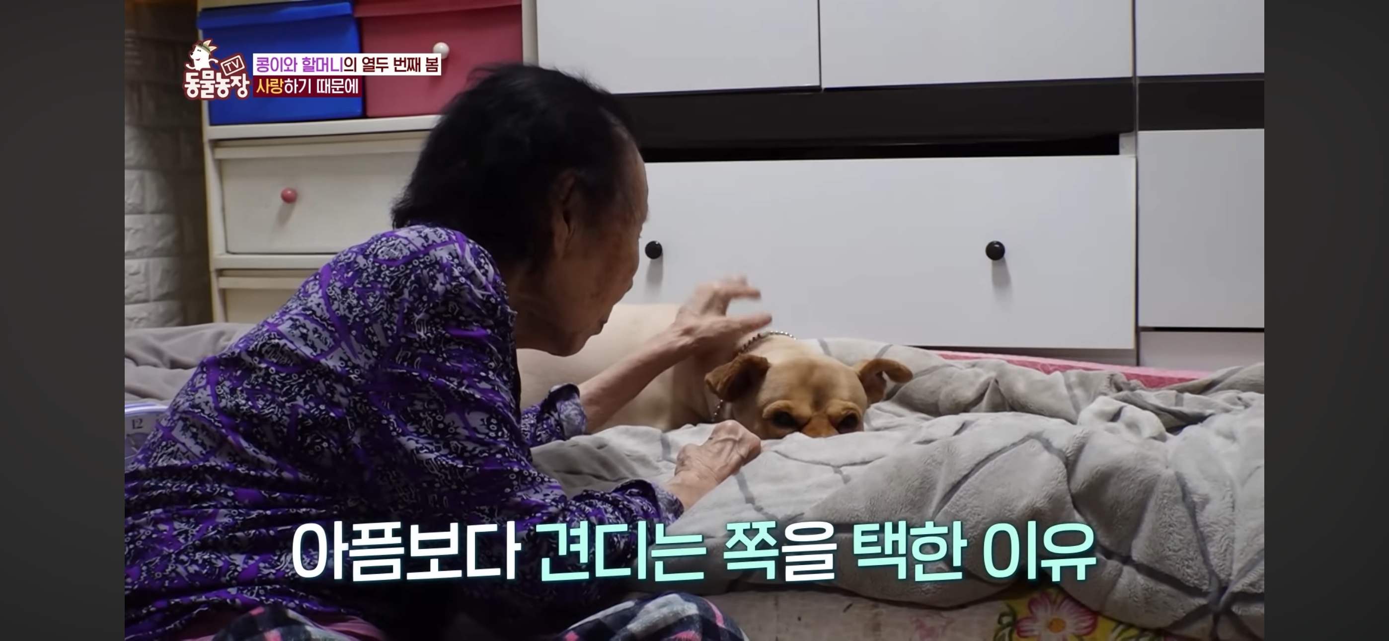 [동물농장]-87세-할머니가-병원-치료를-거부한-이유-50-이미지