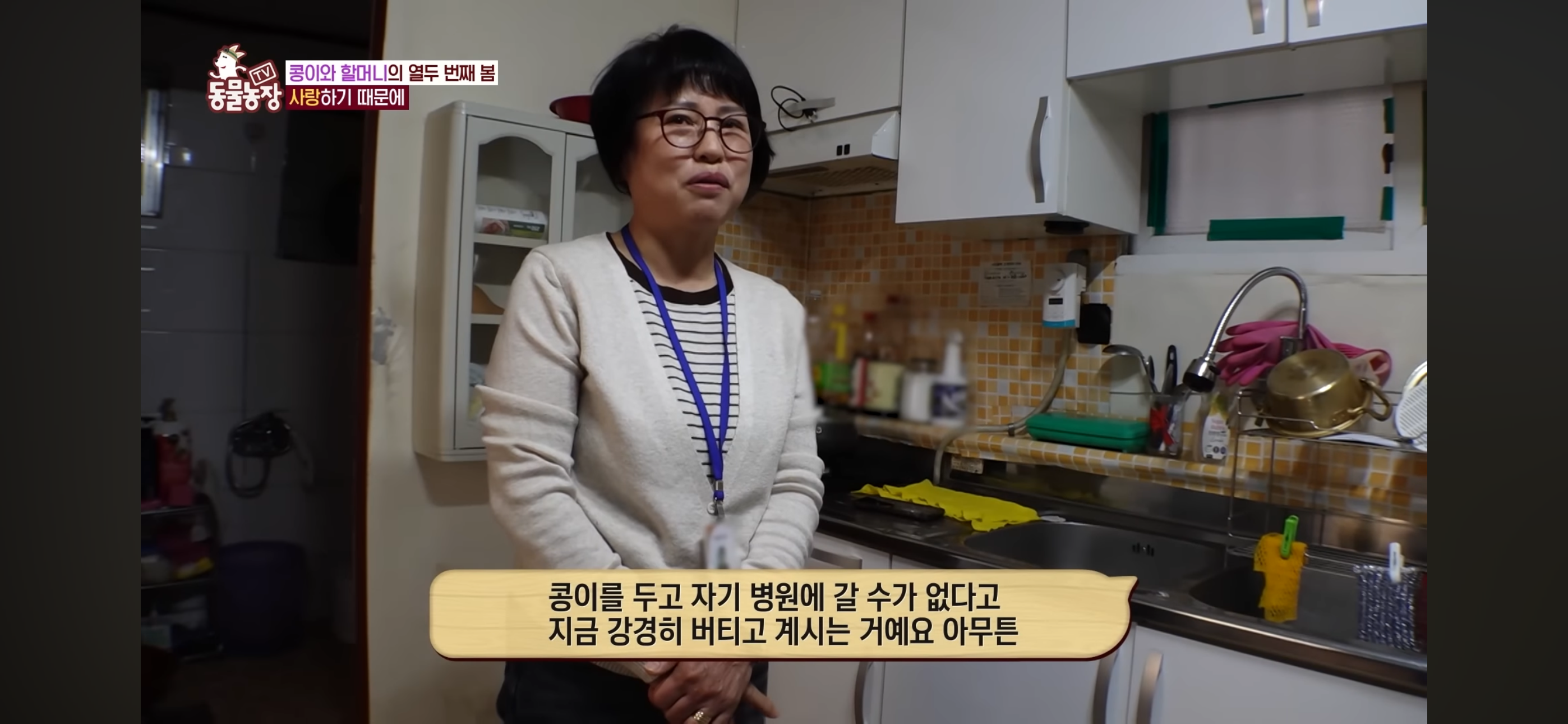 [동물농장]-87세-할머니가-병원-치료를-거부한-이유-47-이미지