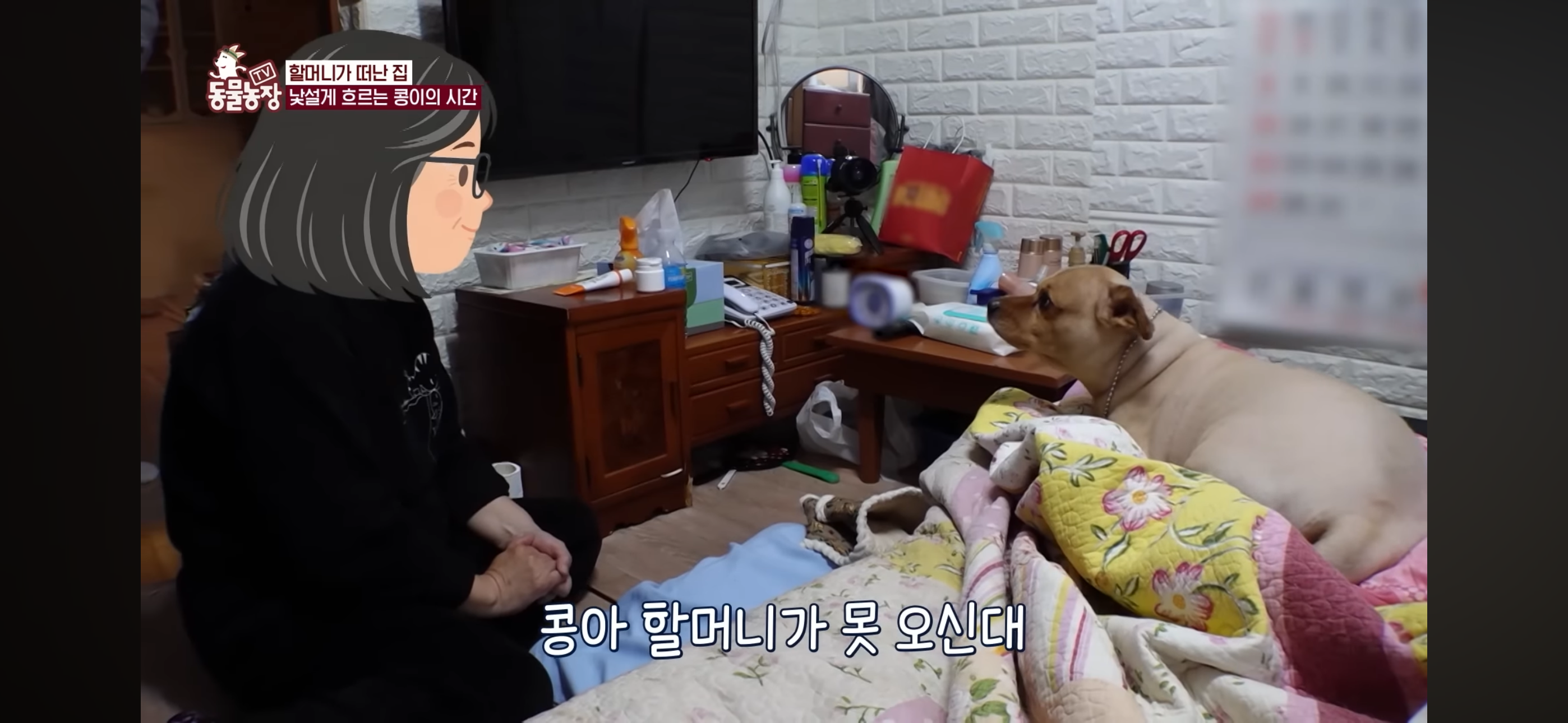 [동물농장]-87세-할머니가-병원-치료를-거부한-이유-67-이미지