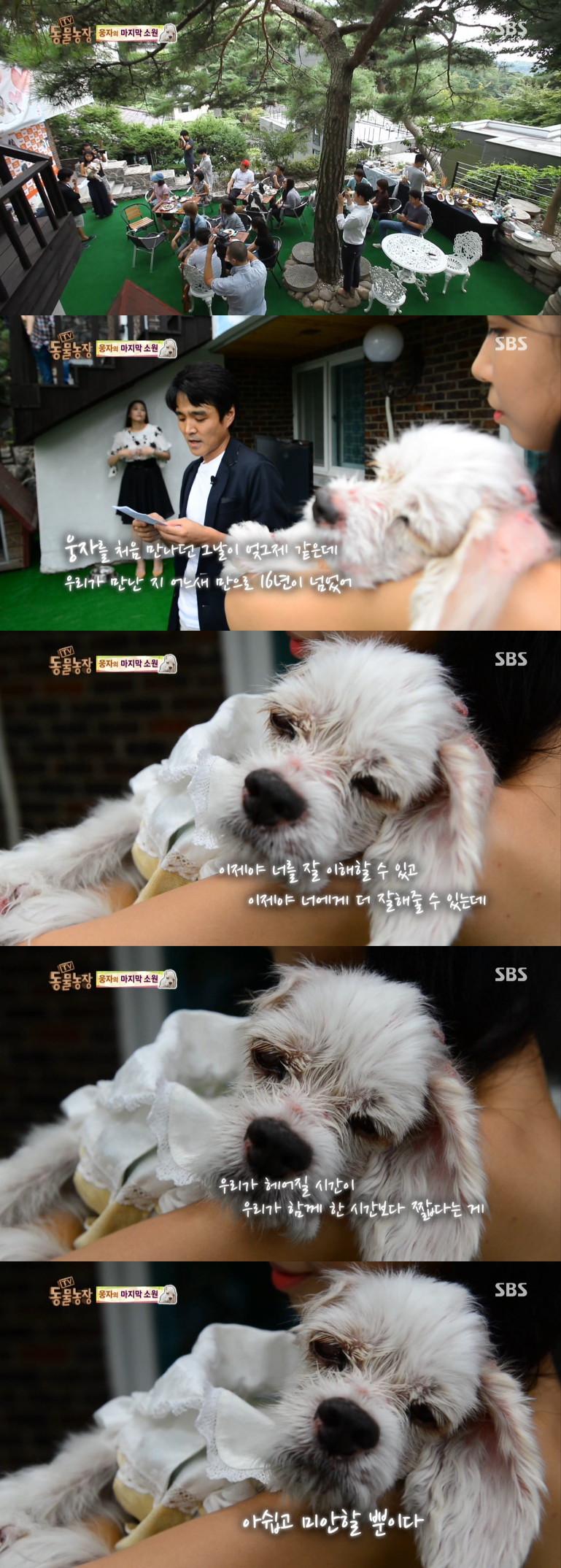 동물농장이-낳은-스타강아지-웅자,-그-후의-이야기-34-이미지