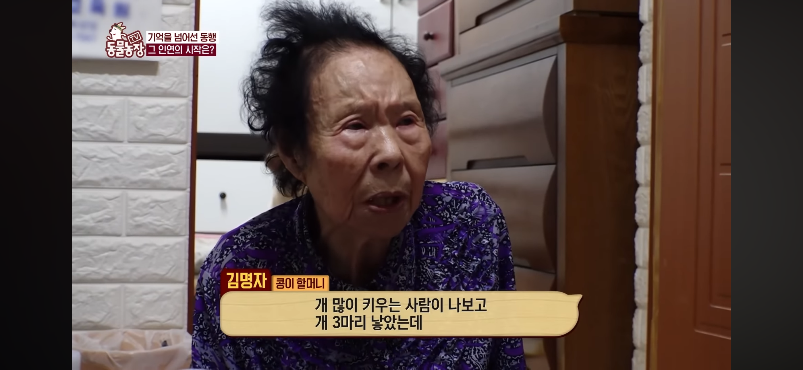 [동물농장]-87세-할머니가-병원-치료를-거부한-이유-28-이미지