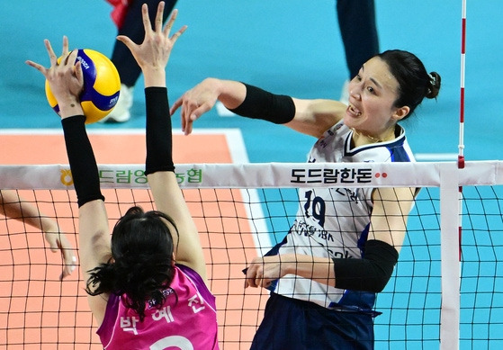 [단독]-표승주-1년-만에-코트-복귀…-사인앤드트레이드로-흥국행-0-이미지