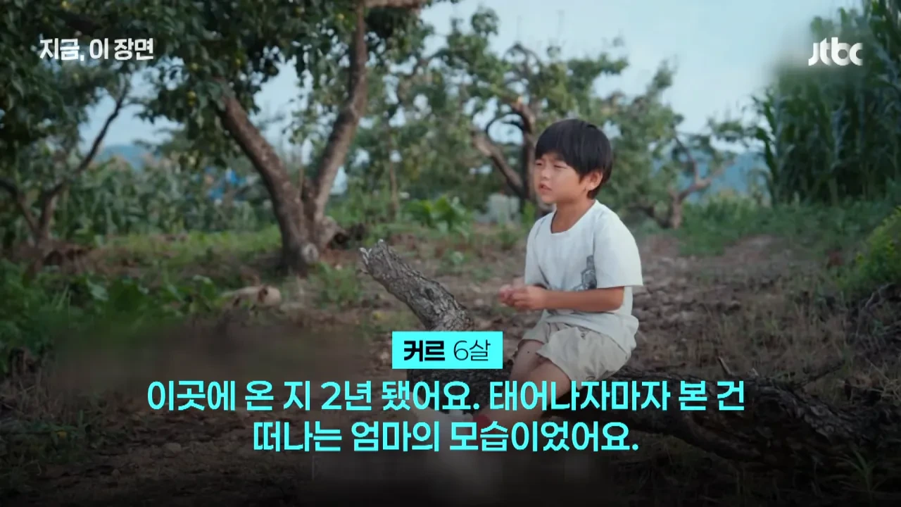 30년간-300명-입양한-중국-'슈퍼-아빠'…"뿌린대로-거둔다"-6-이미지