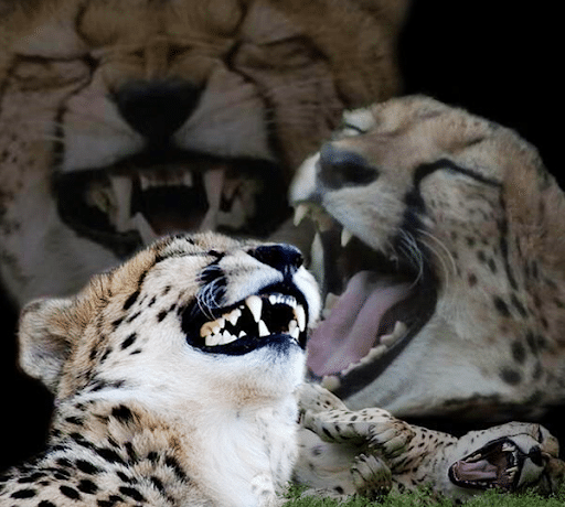 이정현과-김현정이-사이-안-좋은-이유.-6-이미지