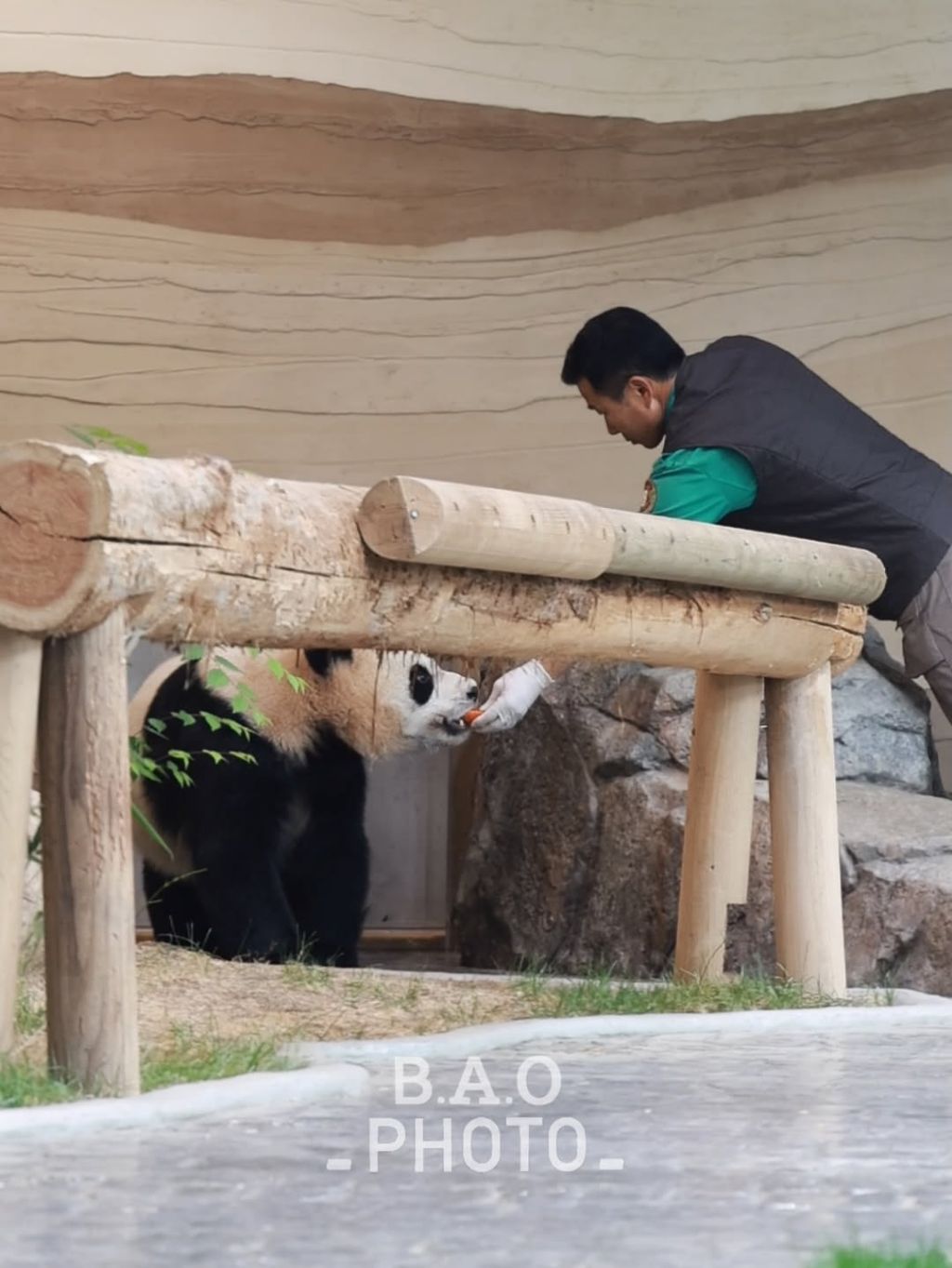 후사원의-출근길🐼🩷-4-이미지