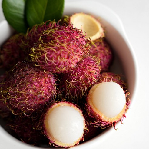 귀여운-아기-두더지.gif-2-이미지