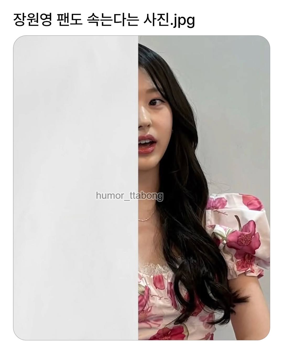장원영-팬도-속는다는-사진-1-이미지