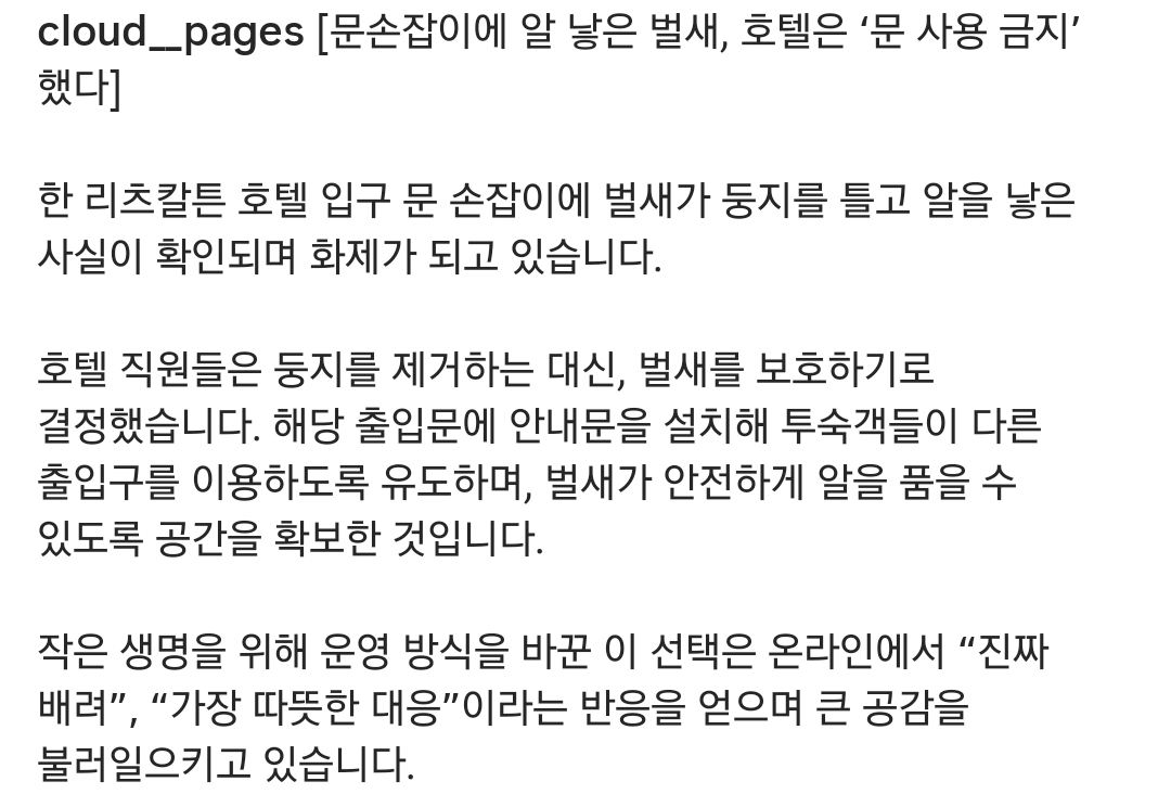 손잡이에-알-낳은-벌새-위해-문-사용-금지한-호텔-3-이미지