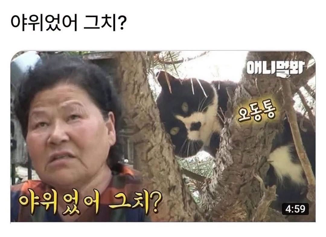 사람-동물-차별-없는-어르신들-시각-0-이미지