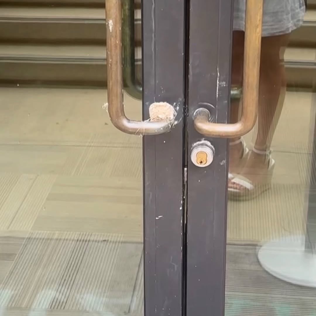 손잡이에-알-낳은-벌새-위해-문-사용-금지한-호텔-2-이미지