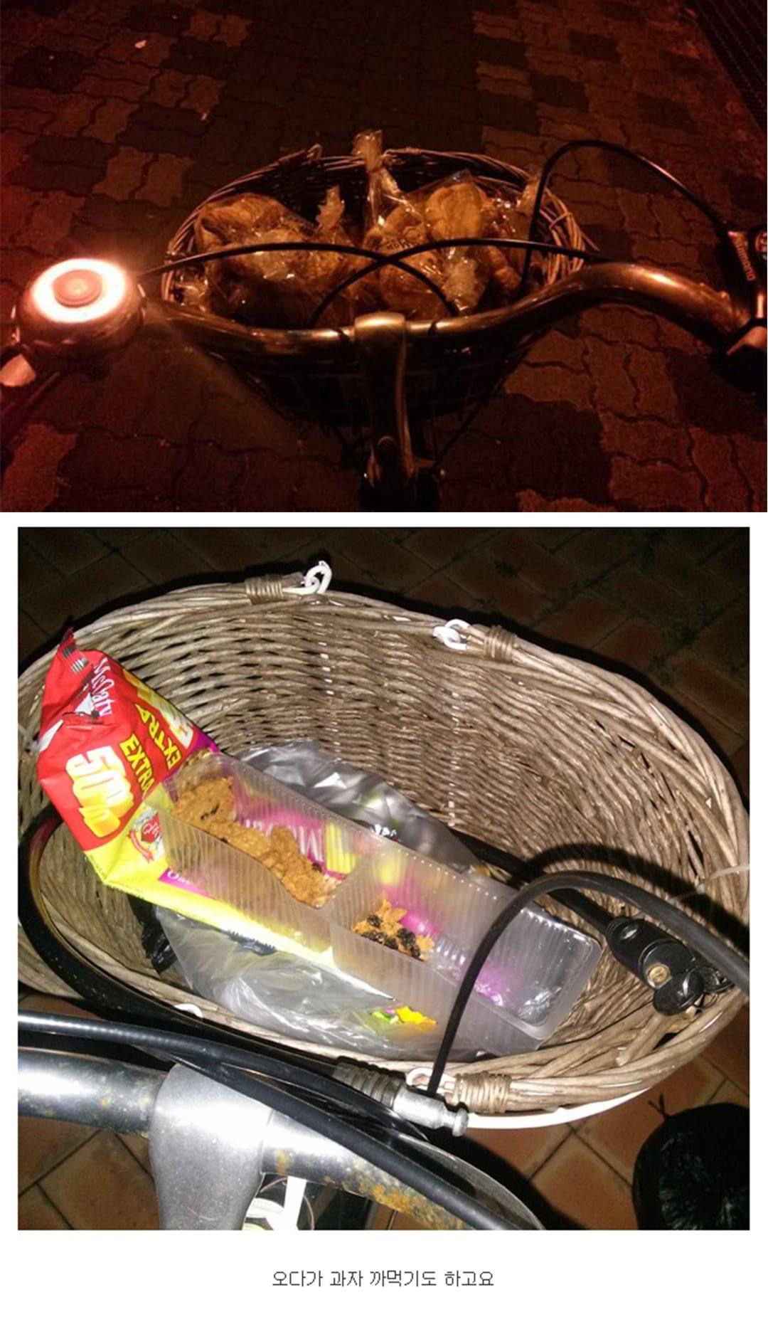 살-빼려고-자전거-샀는데-...-5-이미지