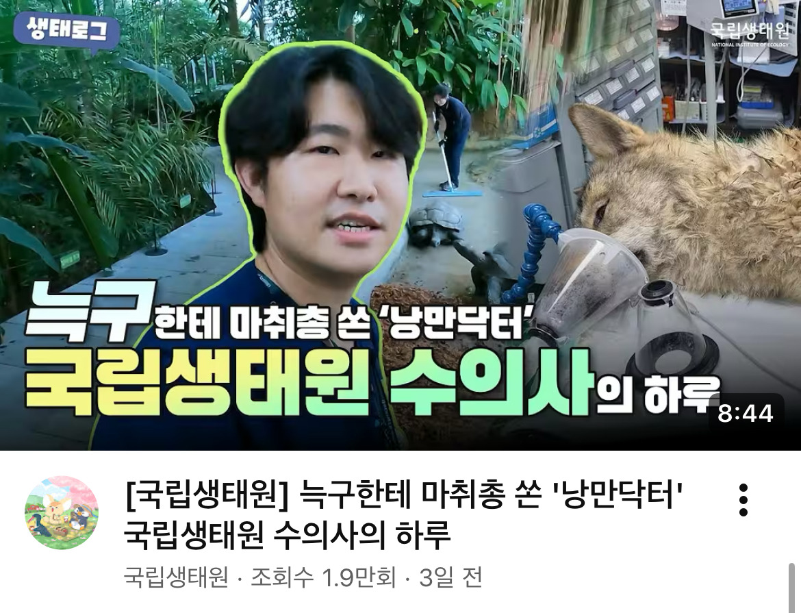 늑구한테-마취총-명중시키신-분-0-이미지