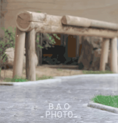 후사원의-출근길🐼🩷-0-이미지