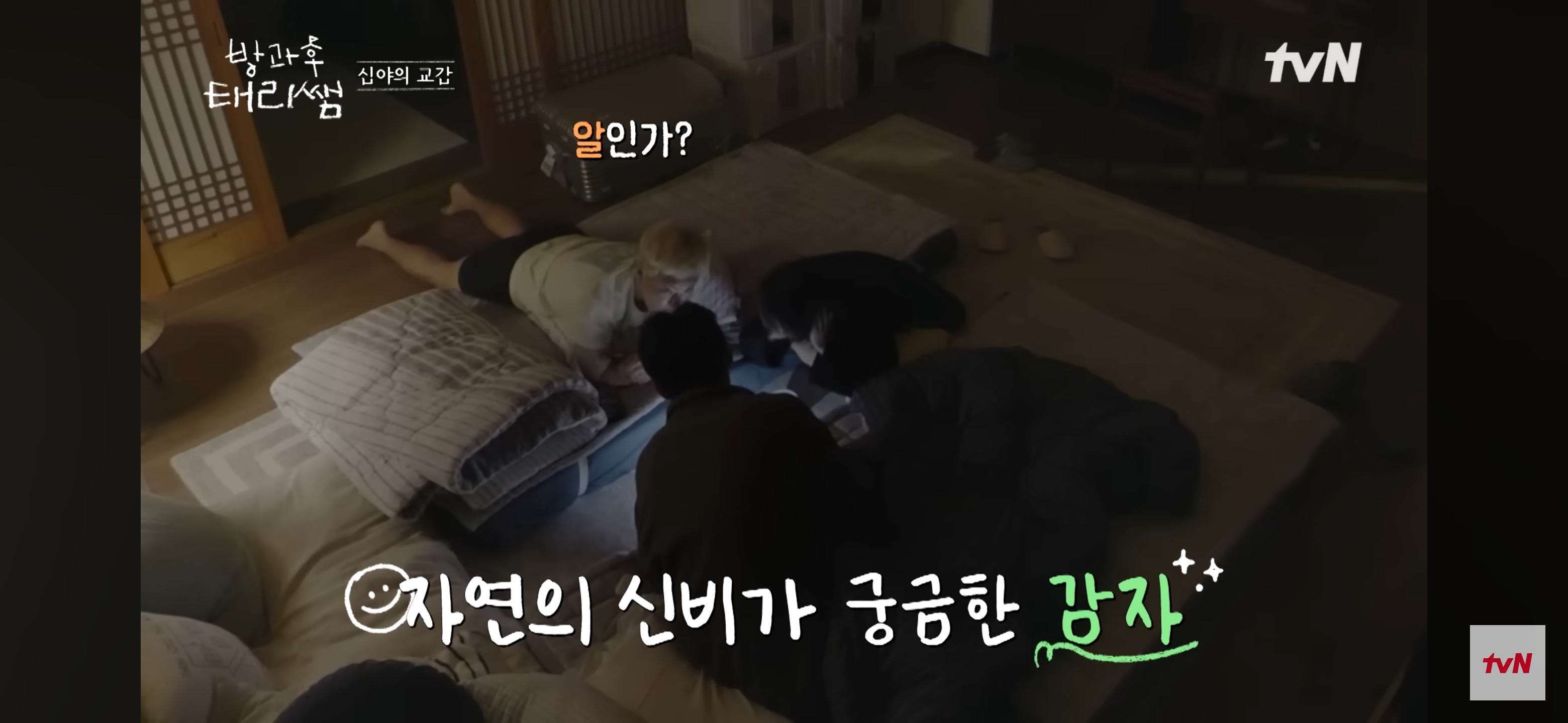 [방과후-태리쌤]-욕실에-붙어있던-달팽이가-신기한-서울-사람들-40-이미지