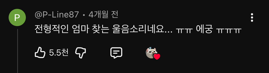 출근-후-홈캠보고-오열한-집사-1-이미지