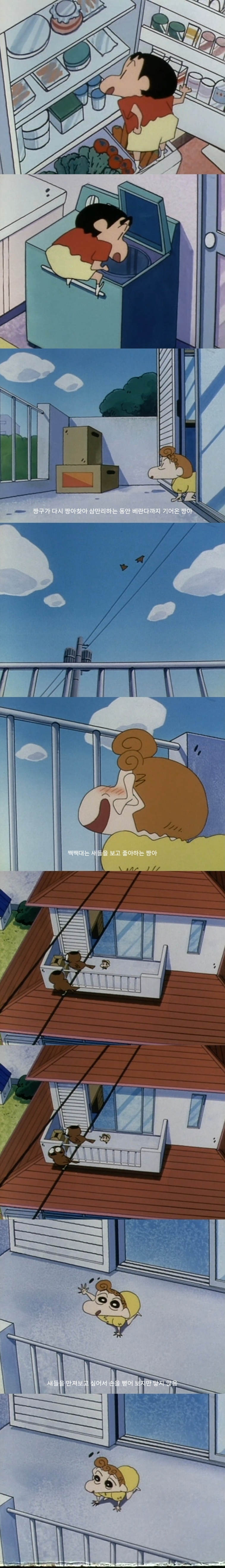 [짱구는-못말려]-짱아를-구출해요-5-이미지