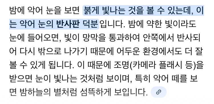 밤에-본-악어-눈-10-이미지