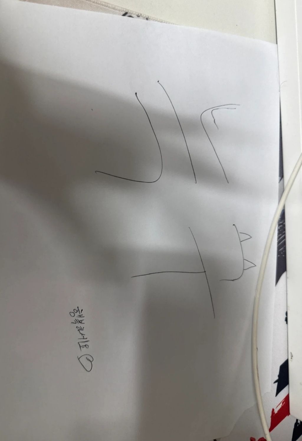 직접-받아온-진짜-늑구-싸인-판매-🥕-2-이미지