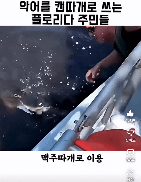 악어를-캔따개쯤으로-생각하는-플로리다-주민들-2-이미지