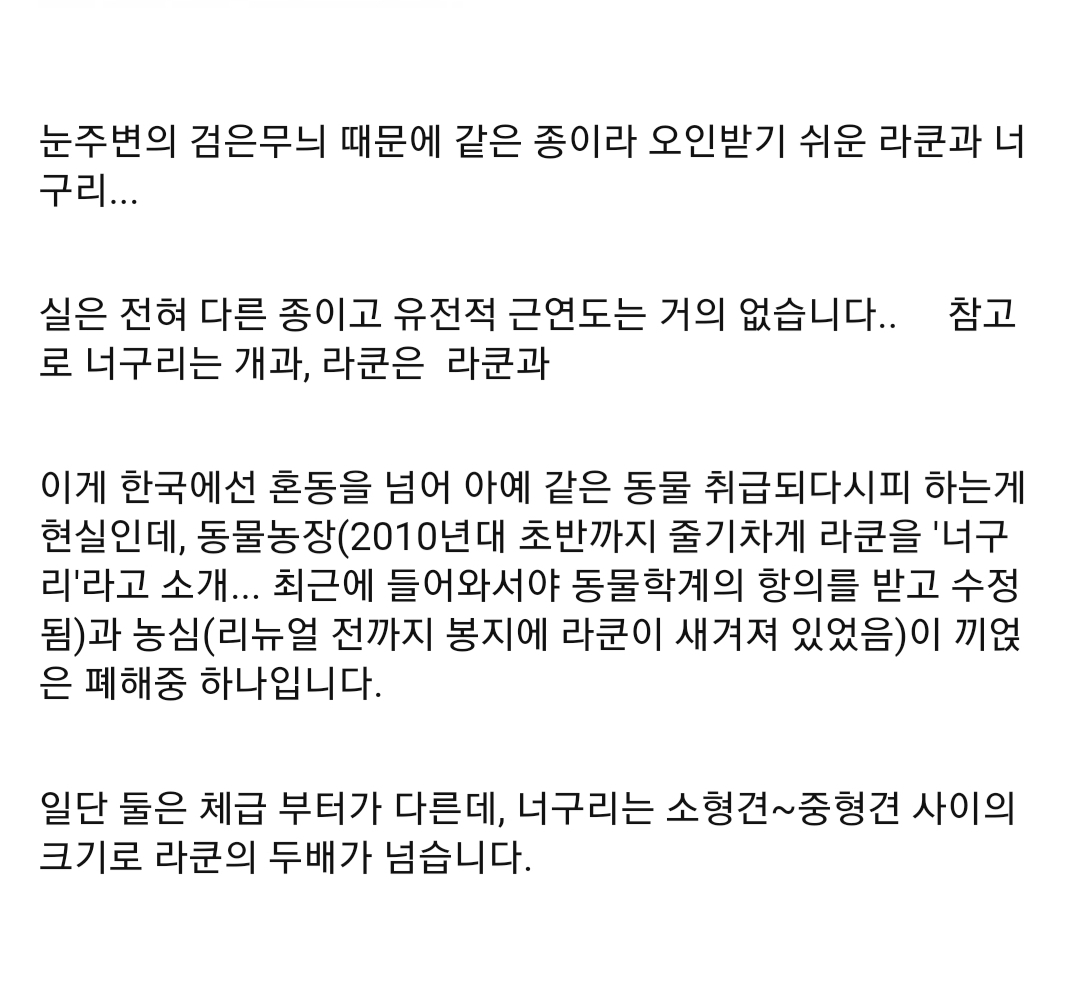 너구리에-대한-오해!!!.jpg-5-이미지