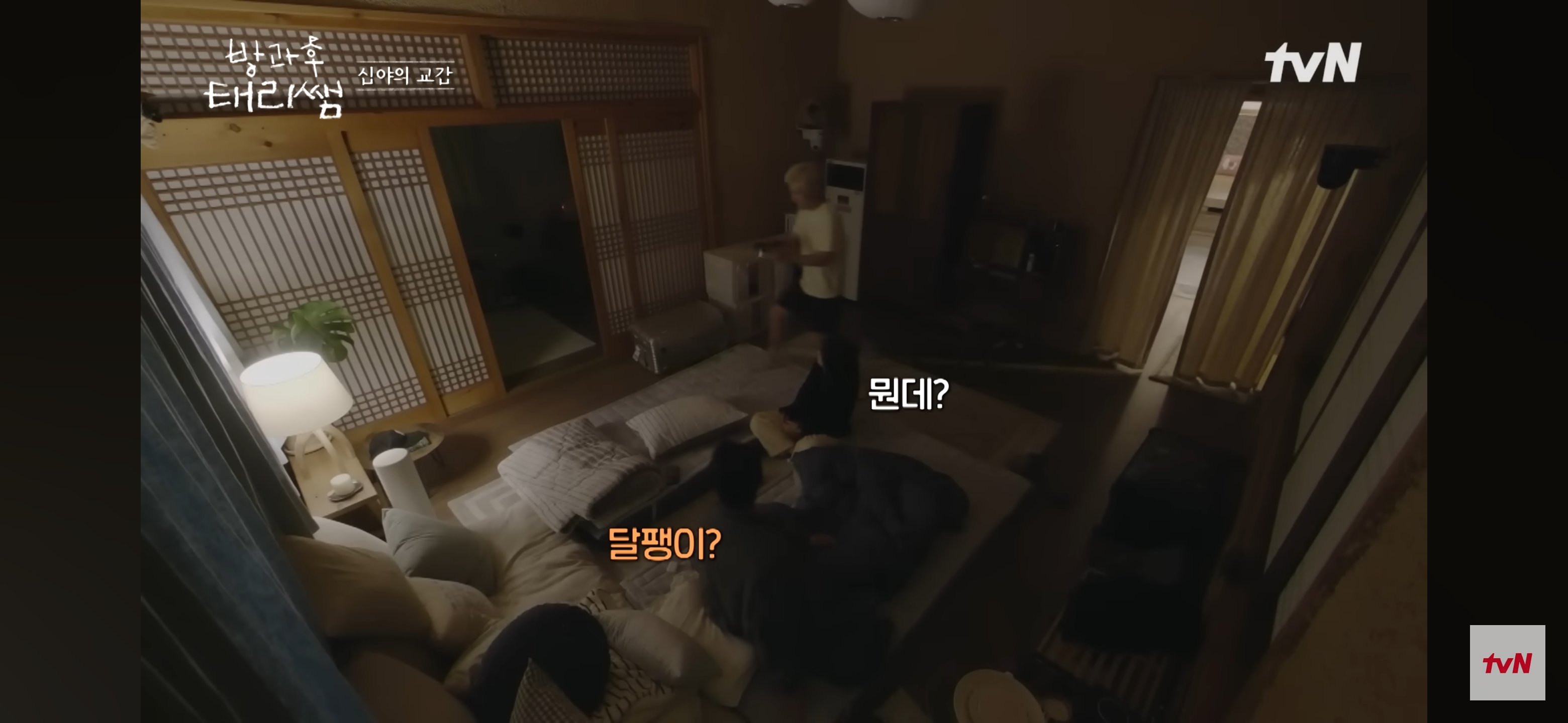 [방과후-태리쌤]-욕실에-붙어있던-달팽이가-신기한-서울-사람들-23-이미지