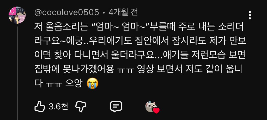 출근-후-홈캠보고-오열한-집사-2-이미지