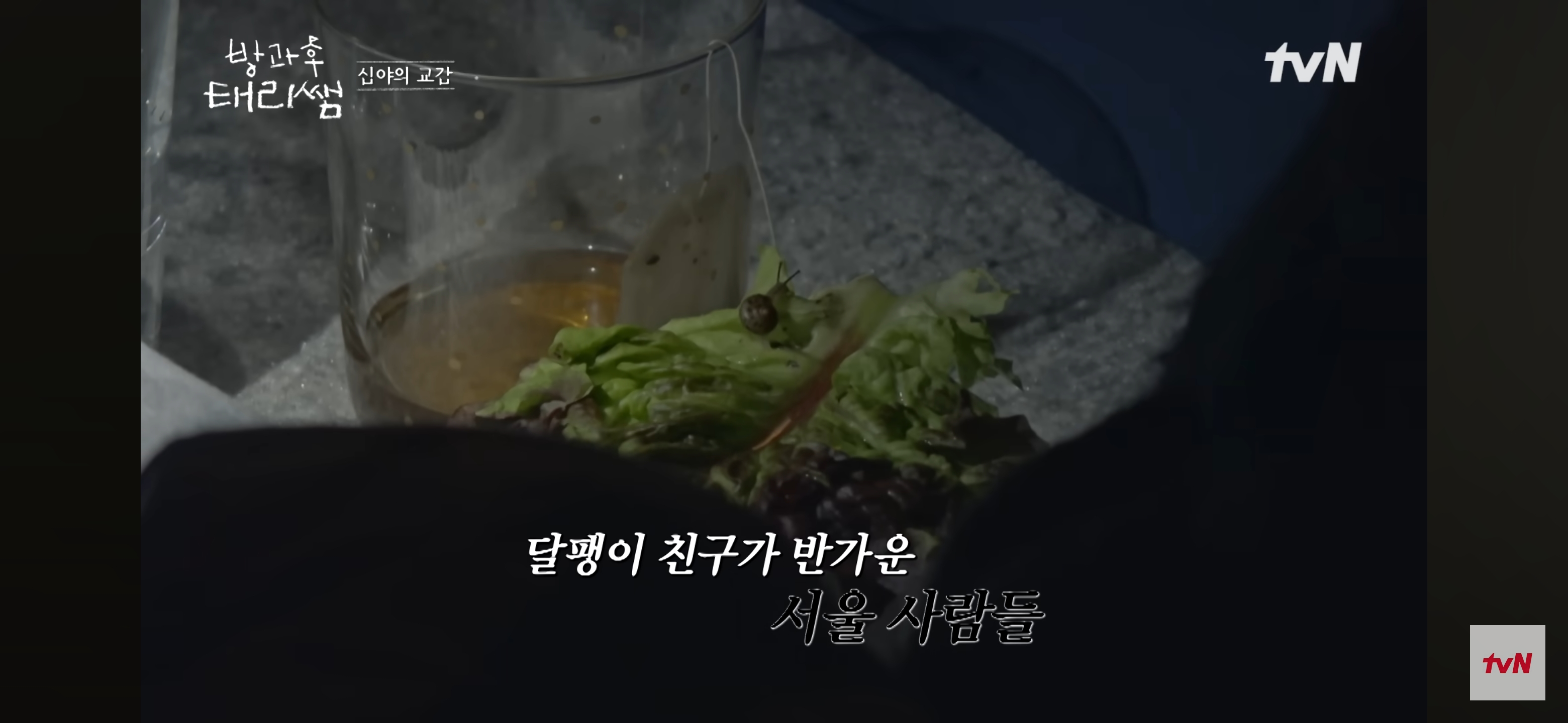 [방과후-태리쌤]-욕실에-붙어있던-달팽이가-신기한-서울-사람들-31-이미지