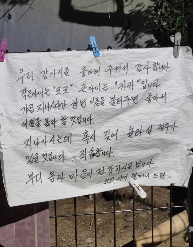 우리-강아지를-좋아해-주셔서-감사합니다-0-이미지