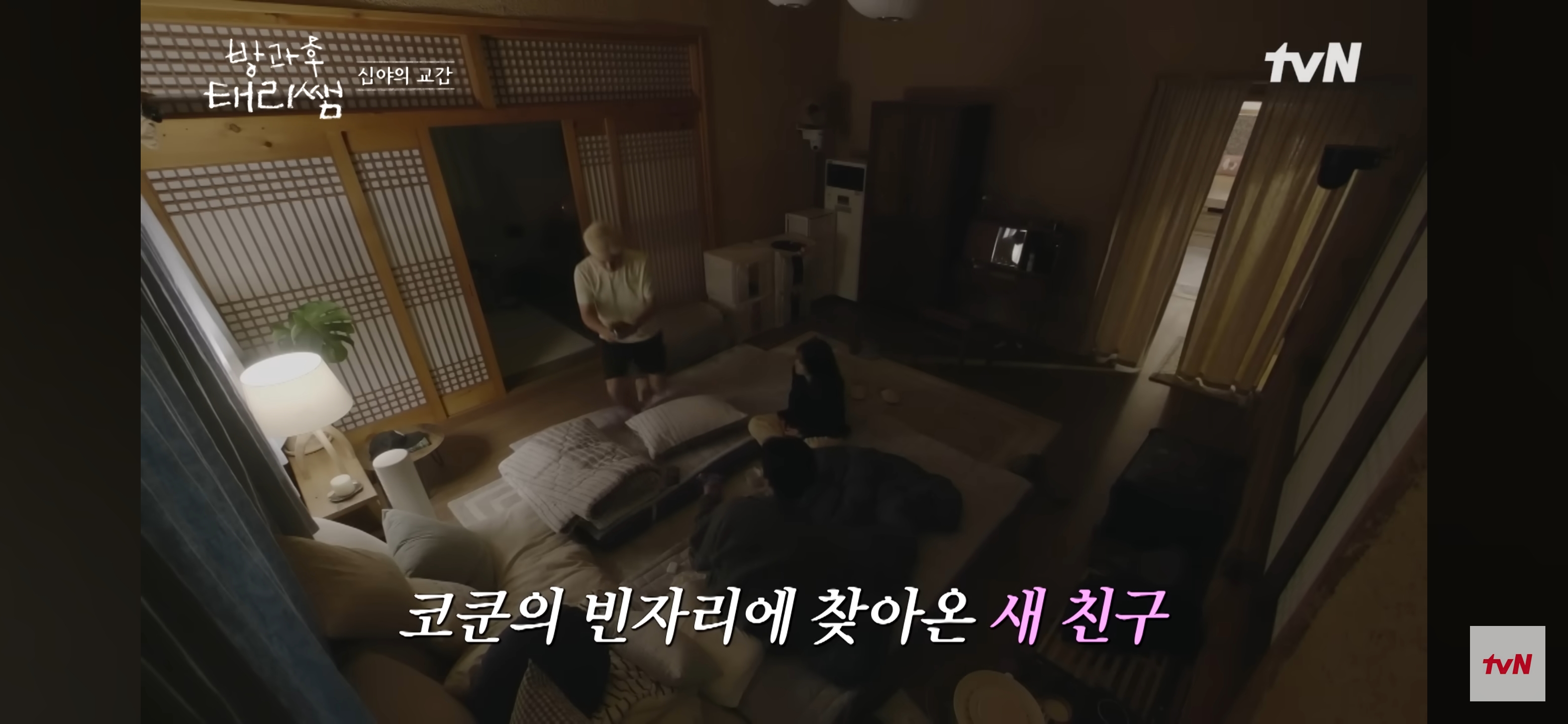 [방과후-태리쌤]-욕실에-붙어있던-달팽이가-신기한-서울-사람들-22-이미지