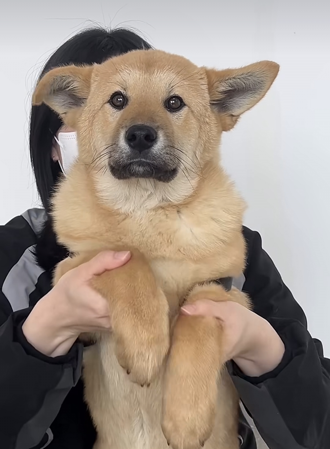 유기견-입양-홍보-릴스-백만뷰-터진-강아지-1-이미지