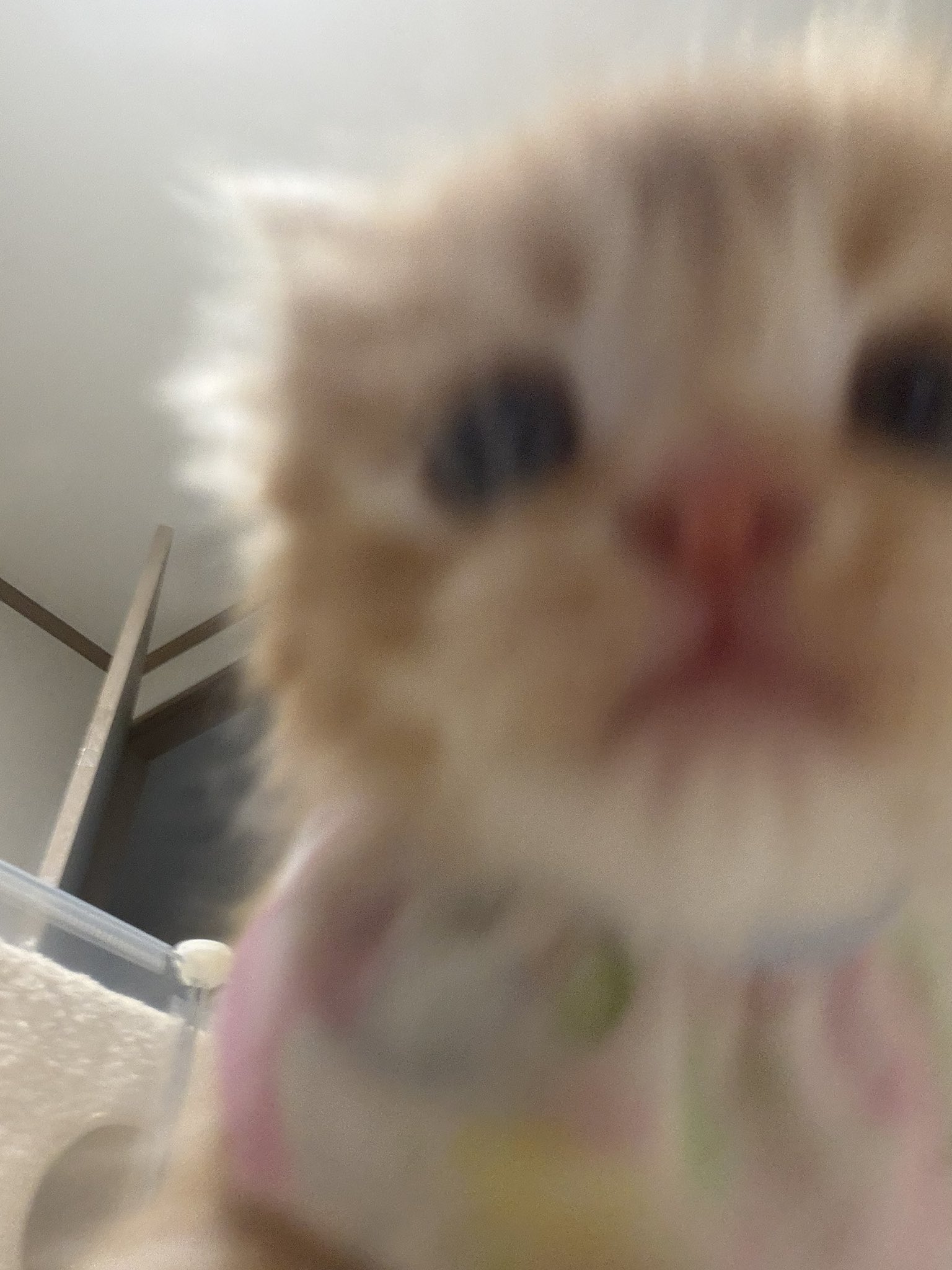 턱받이-선물-받았어요-1-이미지