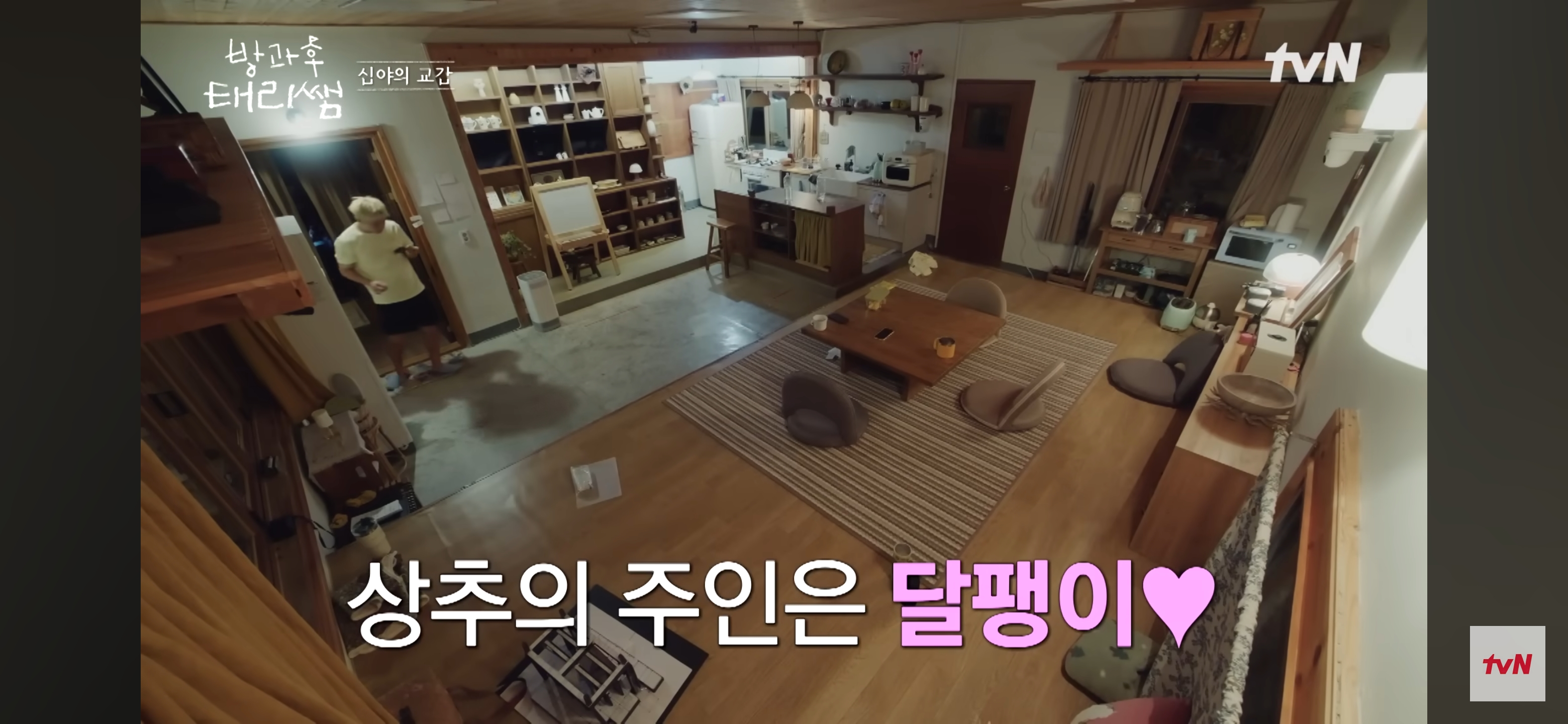 [방과후-태리쌤]-욕실에-붙어있던-달팽이가-신기한-서울-사람들-8-이미지