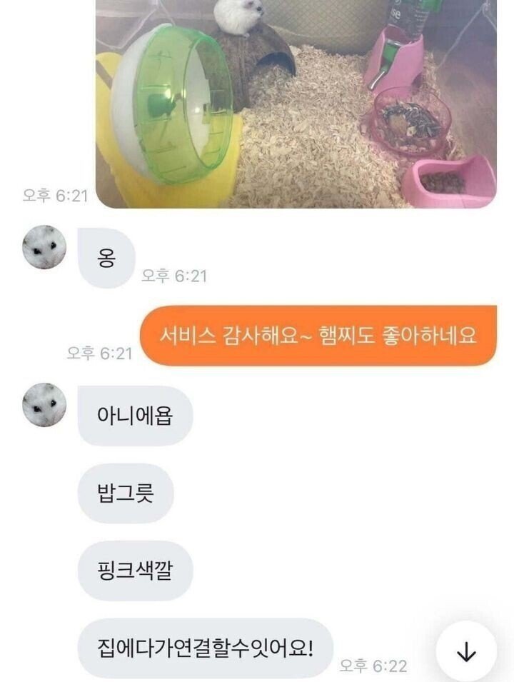 초딩에게-햄찌-용품-당근-구매한-썰.JPG-4-이미지