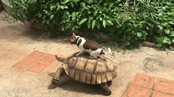 지각할-것-같아서-택시를-탔는데.gif-1-이미지