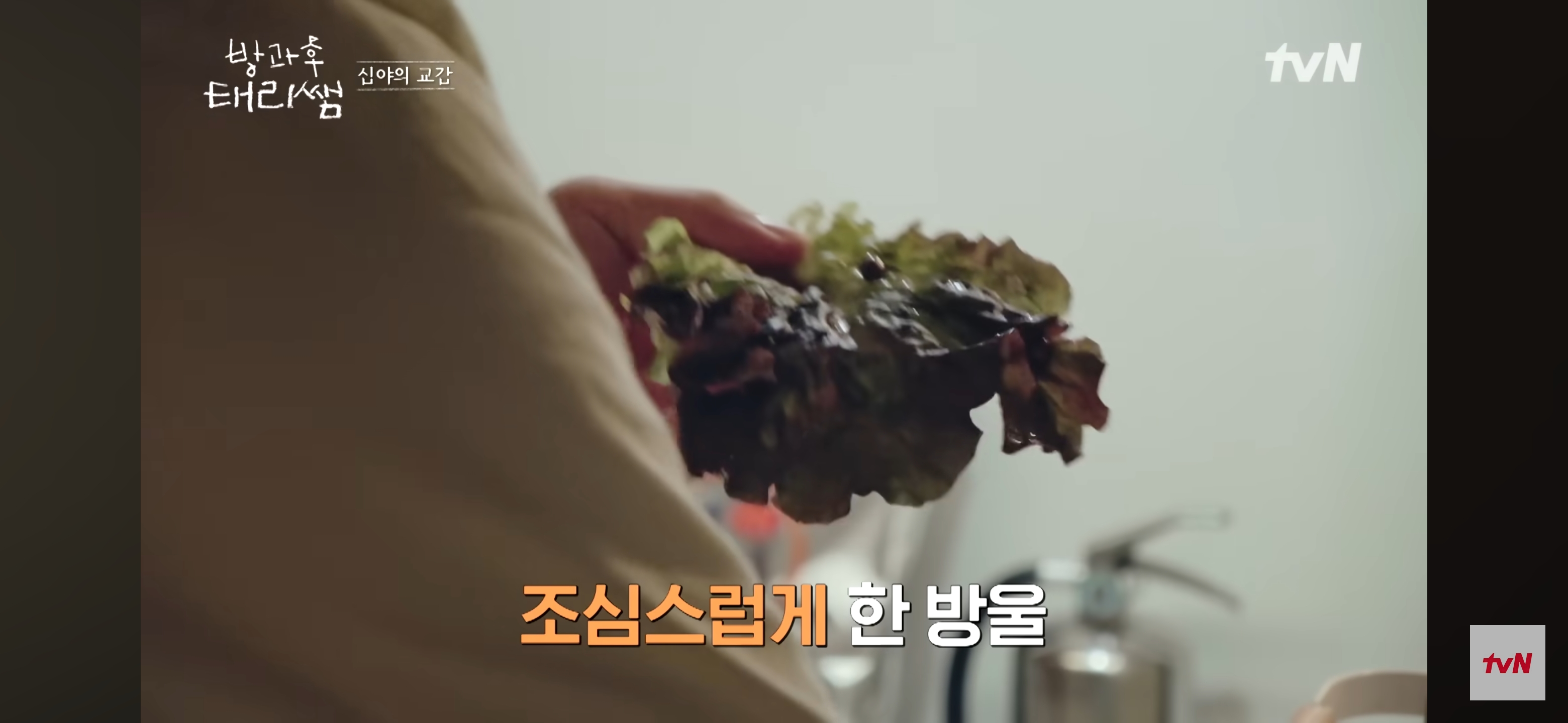 [방과후-태리쌤]-욕실에-붙어있던-달팽이가-신기한-서울-사람들-10-이미지