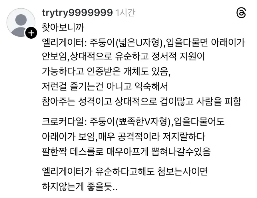 악어를-캔따개쯤으로-생각하는-플로리다-주민들-8-이미지