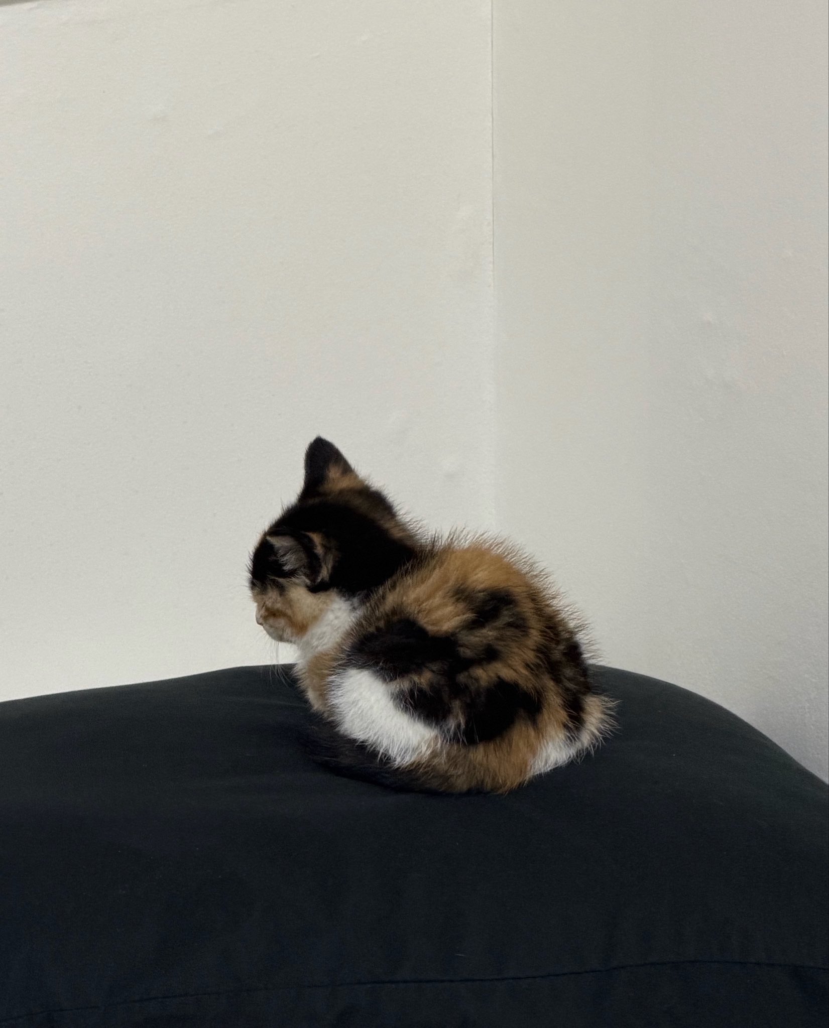 오늘만큼은혼자이고싶어,-0-이미지