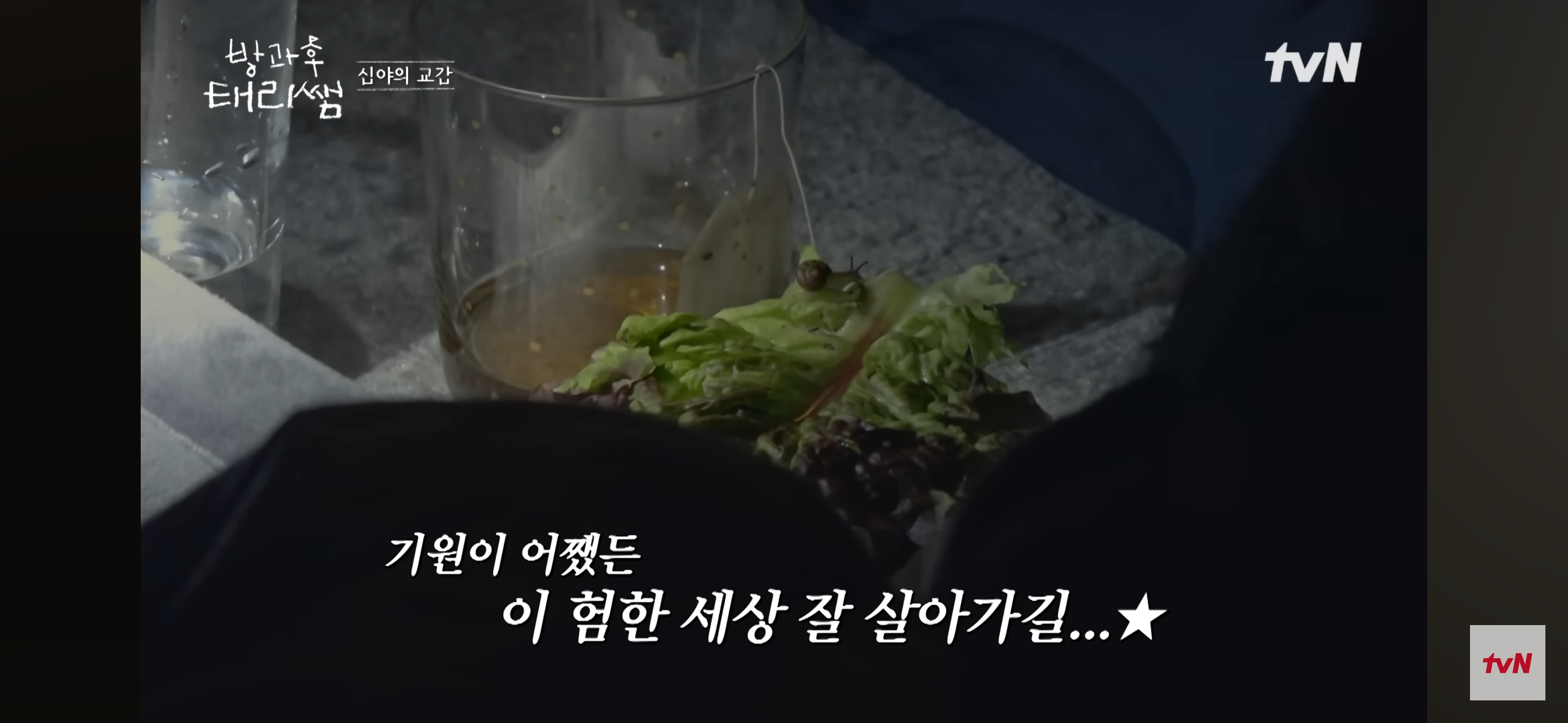 [방과후-태리쌤]-욕실에-붙어있던-달팽이가-신기한-서울-사람들-43-이미지