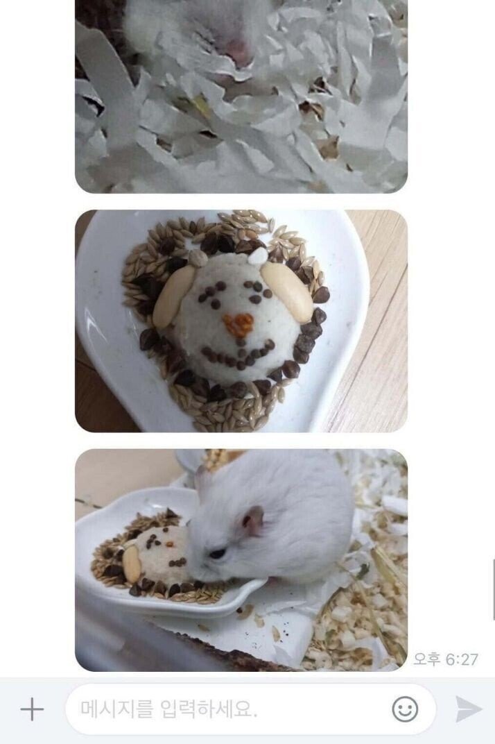 초딩에게-햄찌-용품-당근-구매한-썰.JPG-7-이미지