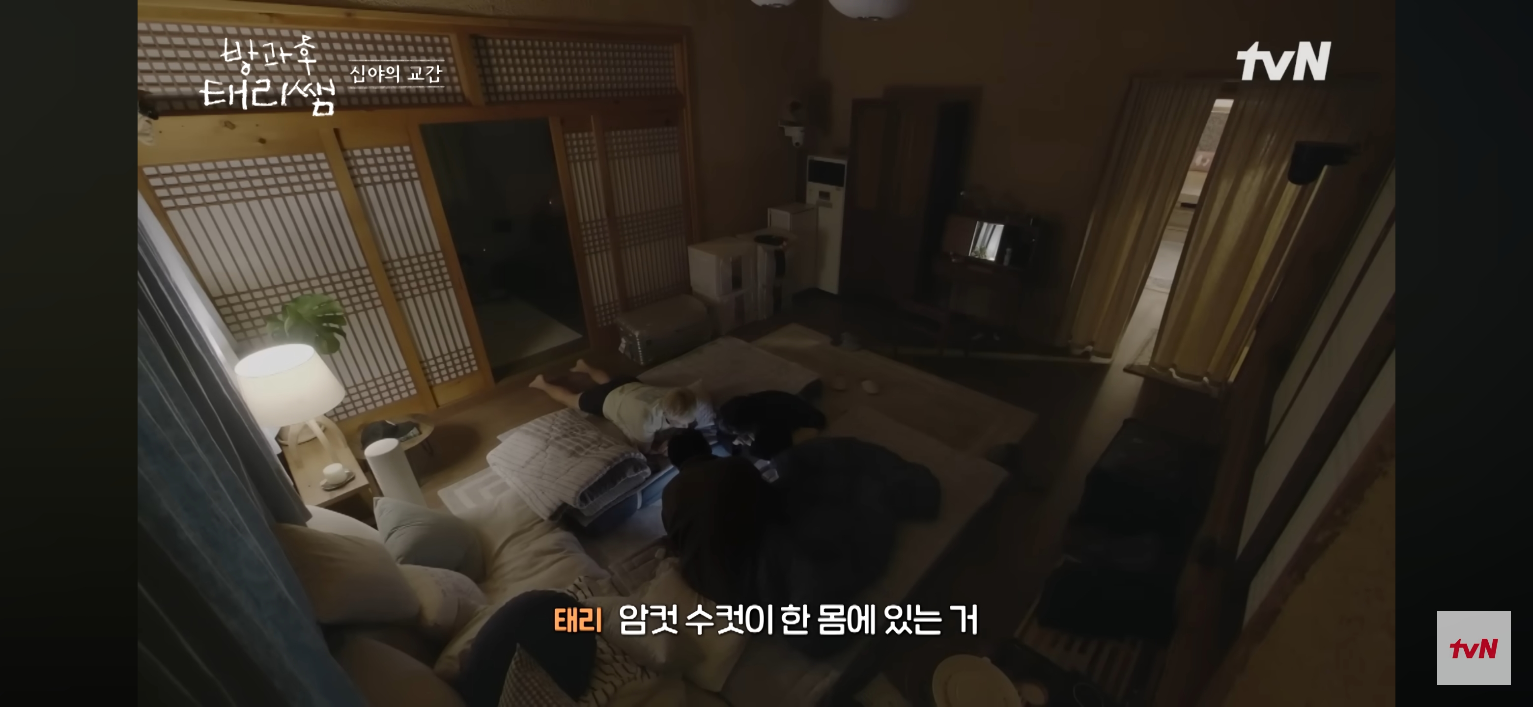 [방과후-태리쌤]-욕실에-붙어있던-달팽이가-신기한-서울-사람들-34-이미지