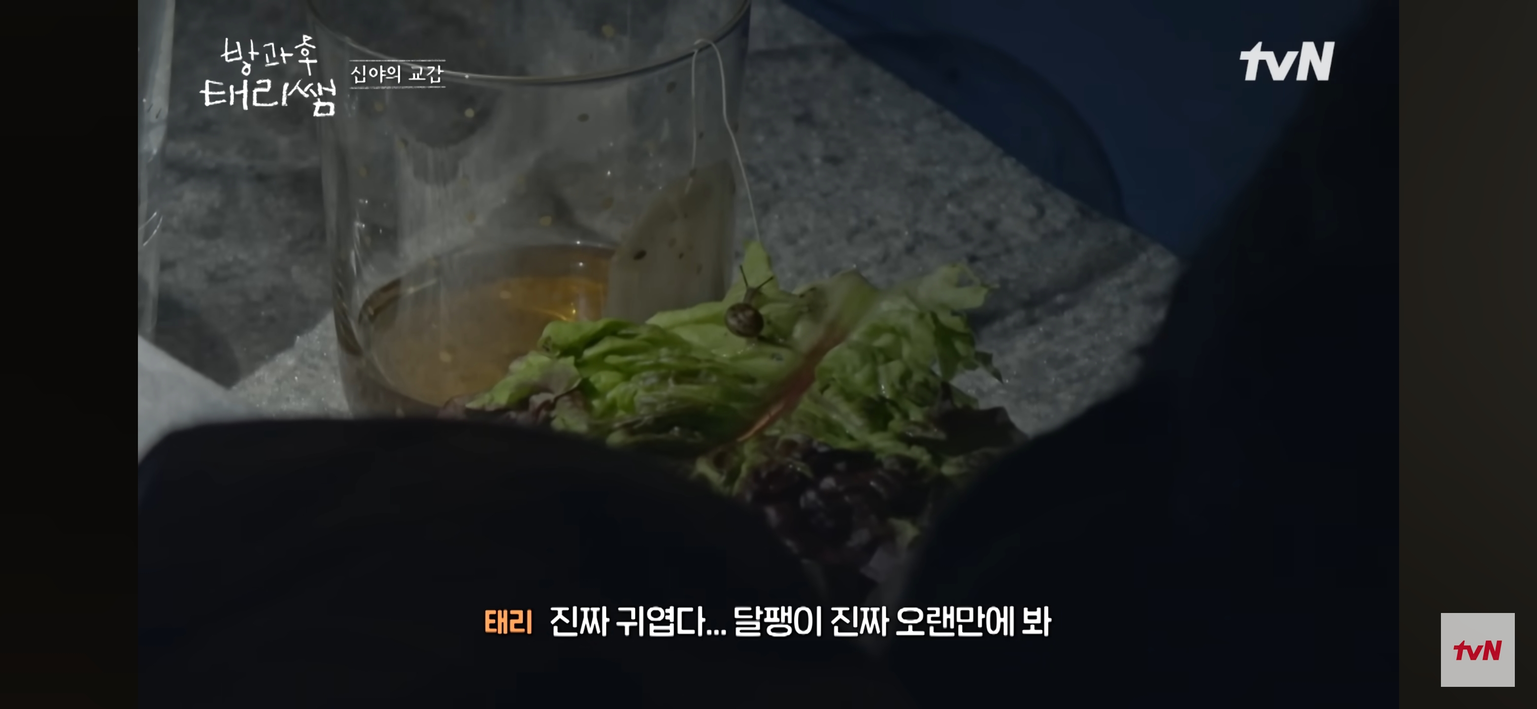 [방과후-태리쌤]-욕실에-붙어있던-달팽이가-신기한-서울-사람들-30-이미지